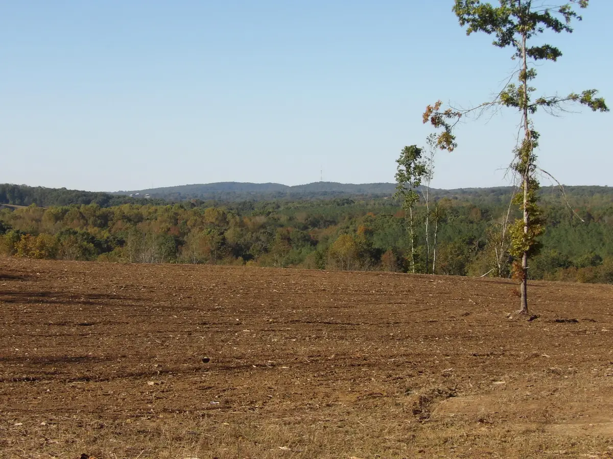 Lot 11 Summer City Road, Evensville, TN 37332 - #1