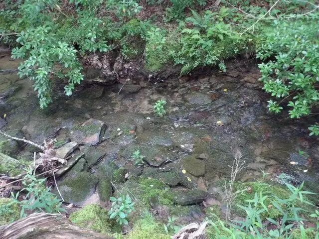 Lot 11 Summer City Road, Evensville, TN 37332 - #2