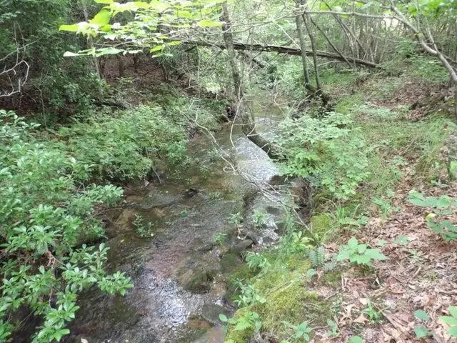 Lot 11 Summer City Road, Evensville, TN 37332 - #3