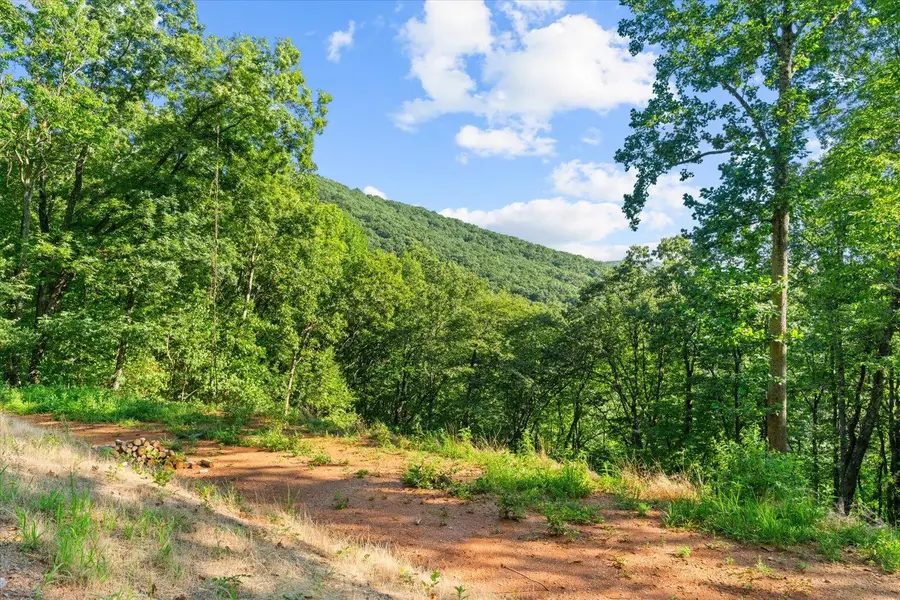 Lot 5 Firetower, Jasper, GA 30143 - #2