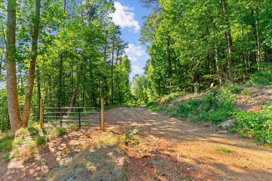 Lot 5 Firetower, Jasper, GA 30143 - #3