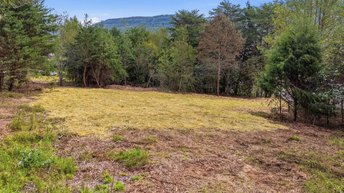 Tract 1b Cloverdale Road, Rising Fawn, GA 30738 - #1