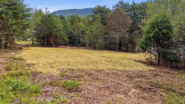 Tract 1b Cloverdale Road, Rising Fawn, GA 30738