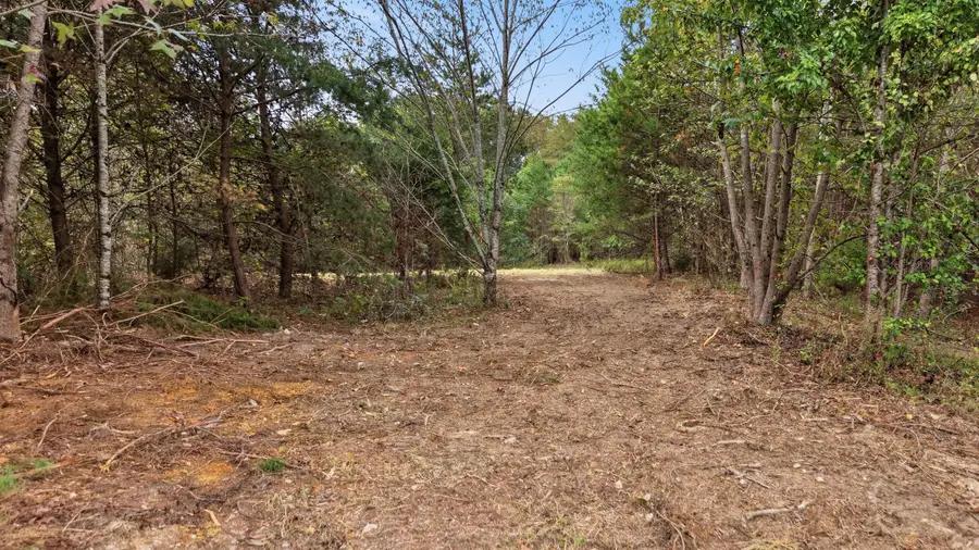 Tract 1b Cloverdale Road, Rising Fawn, GA 30738 - #2