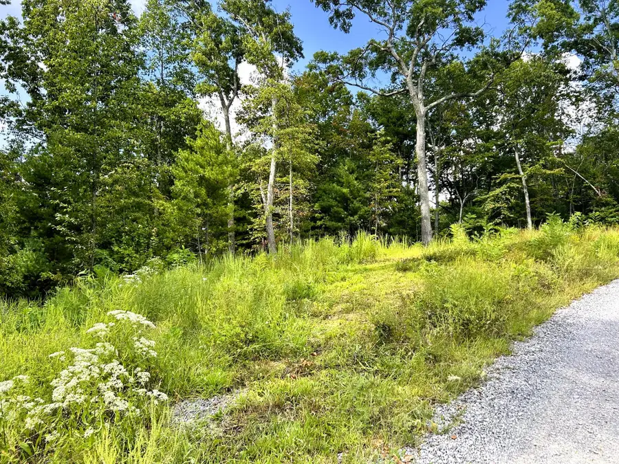 125 Chestnut Mountain Road, Reliance, TN 37369 - #2