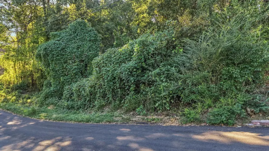 7364 Mccormack Drive, Hixson, TN 37343 - #2