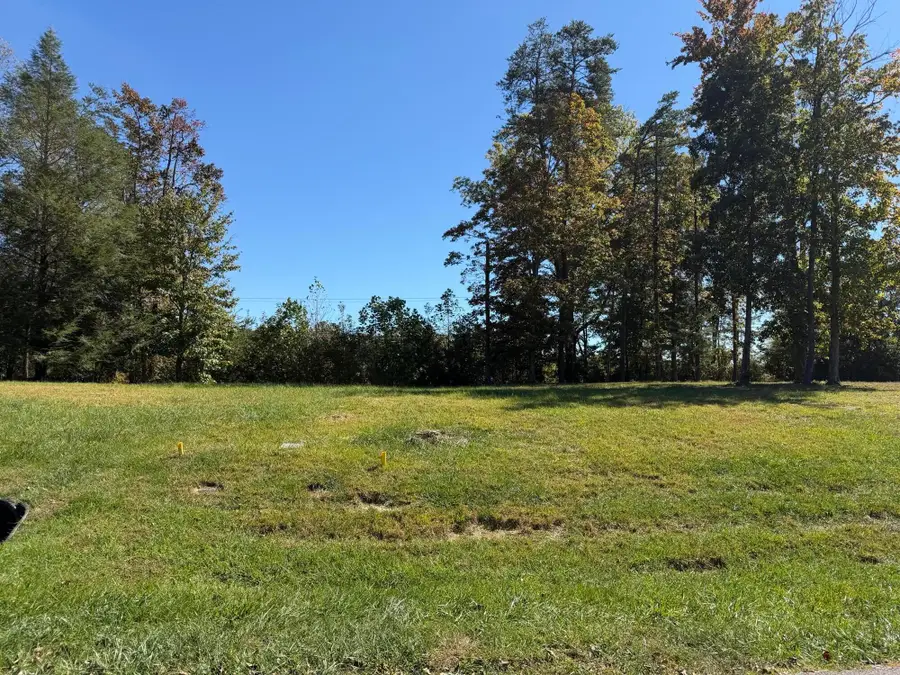 258 Brow Wood Lane, Lookout Mountain, GA 30750 - #3