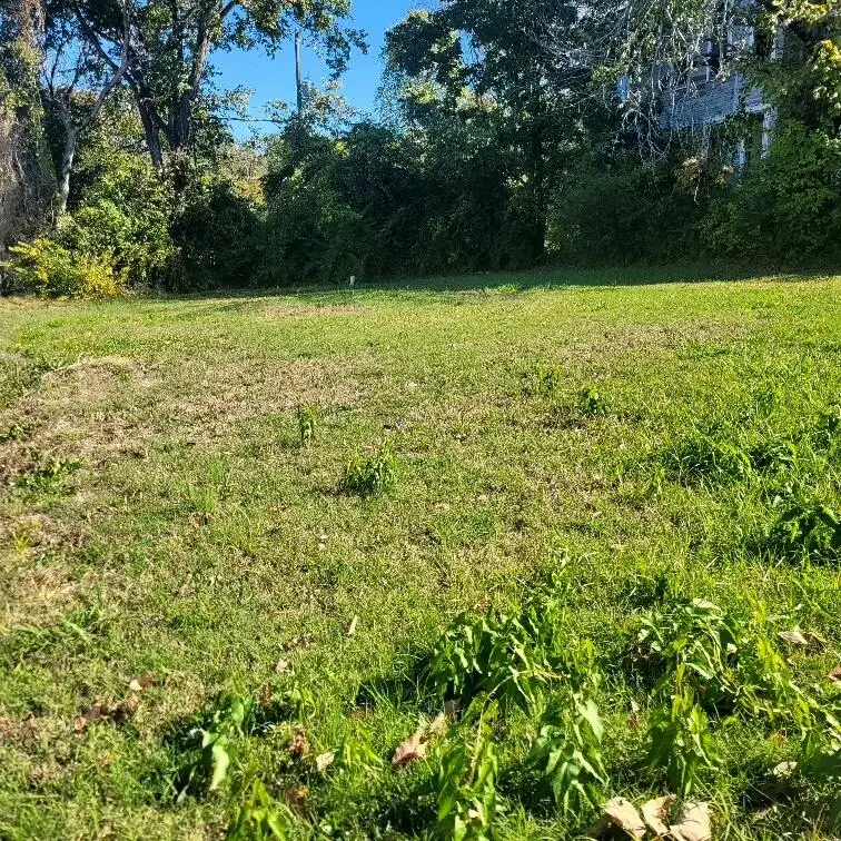 2613 Mccallie Avenue, Chattanooga, TN 37404 - #1