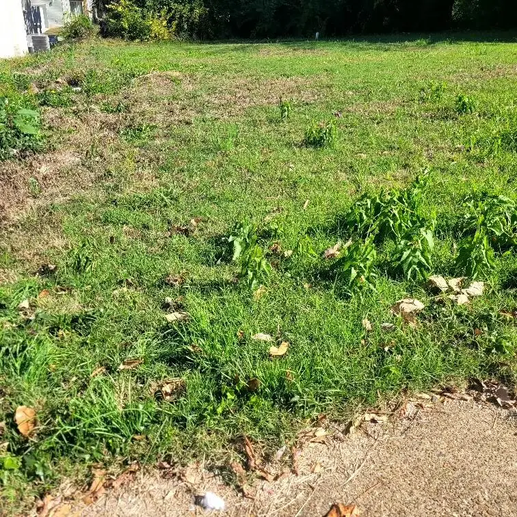 2613 Mccallie Avenue, Chattanooga, TN 37404 - #2