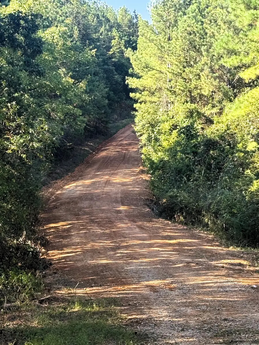 47 Acres Charles Road, Decatur, TN 37322 - #2