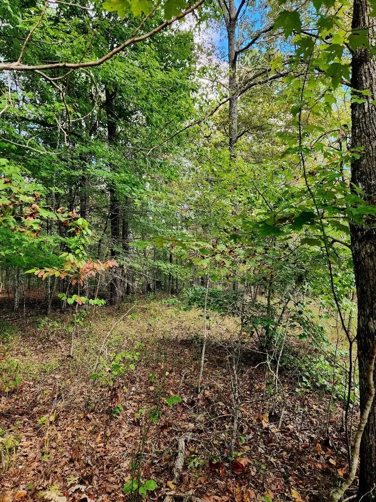00 Deer Run #179 A, Spencer, TN 38585 - #3