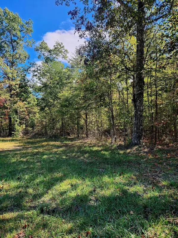 0 Long Branch Road #179b, Spencer, TN 38585