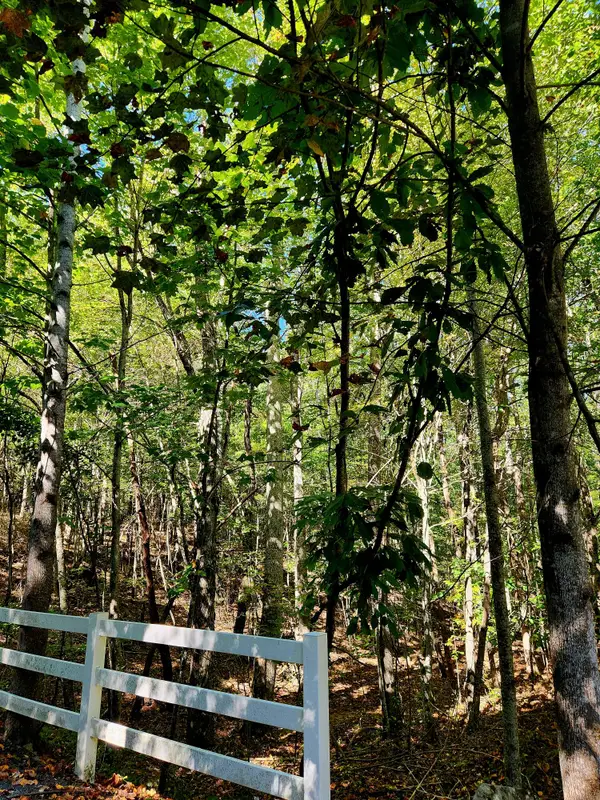 0 Ridge Wood Lane #431, Spencer, TN 38585