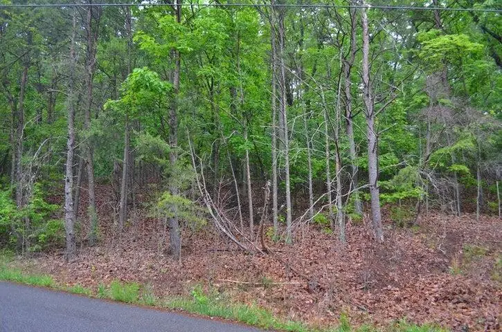 8805 Terrace Falls Drive, Soddy Daisy, TN 37379 - #2