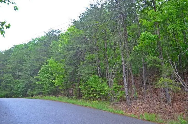 8805 Terrace Falls Drive, Soddy Daisy, TN 37379 - #3