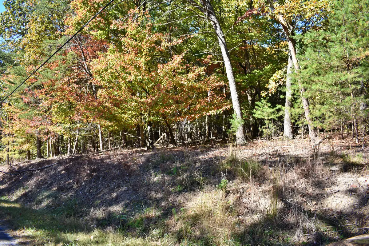 0 Lake Forest Drive #Lot 72, Spring City, TN 37381 - #1