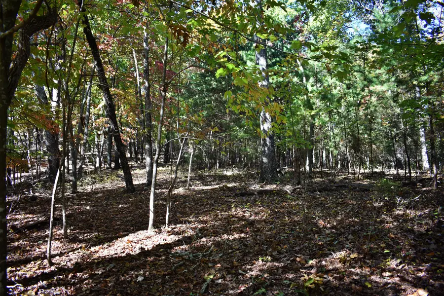 0 Lake Forest Drive #Lot 72, Spring City, TN 37381 - #3