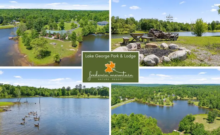 100 N Roaring Creek Drive, Dunlap, TN 37327 - #3