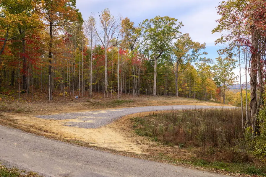 4ac Coke Bowman Road, Dunlap, TN 37327 - #3