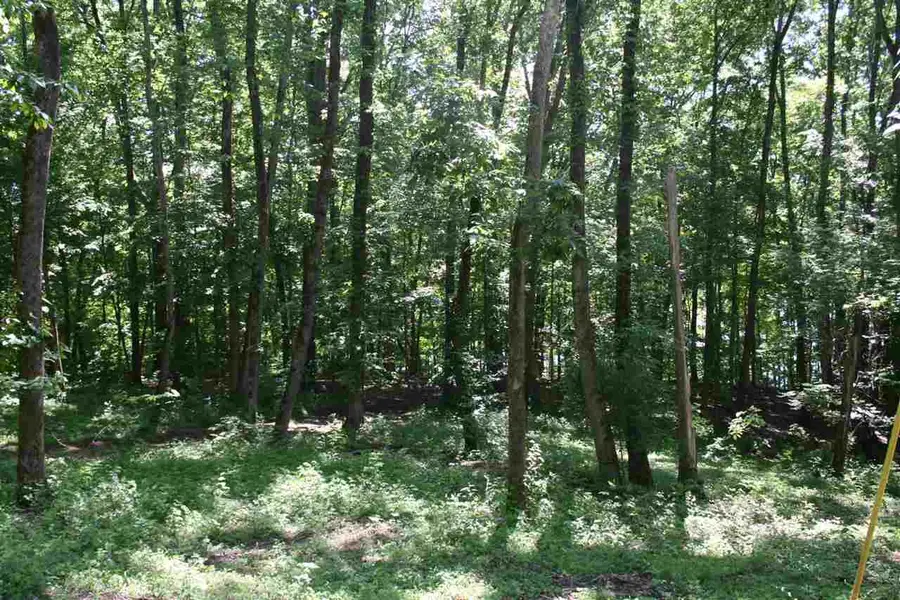 000 Poplar Ridge, Parsons, TN 38363 - Image #3