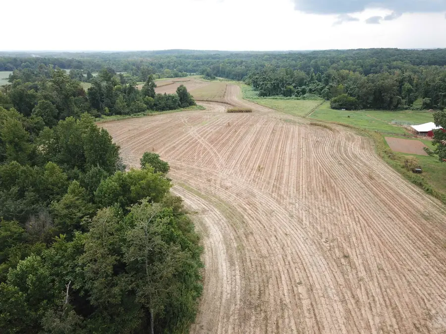 000 Timberlake Wildersville Rd Road, Lexington, TN 38351 - Image #3