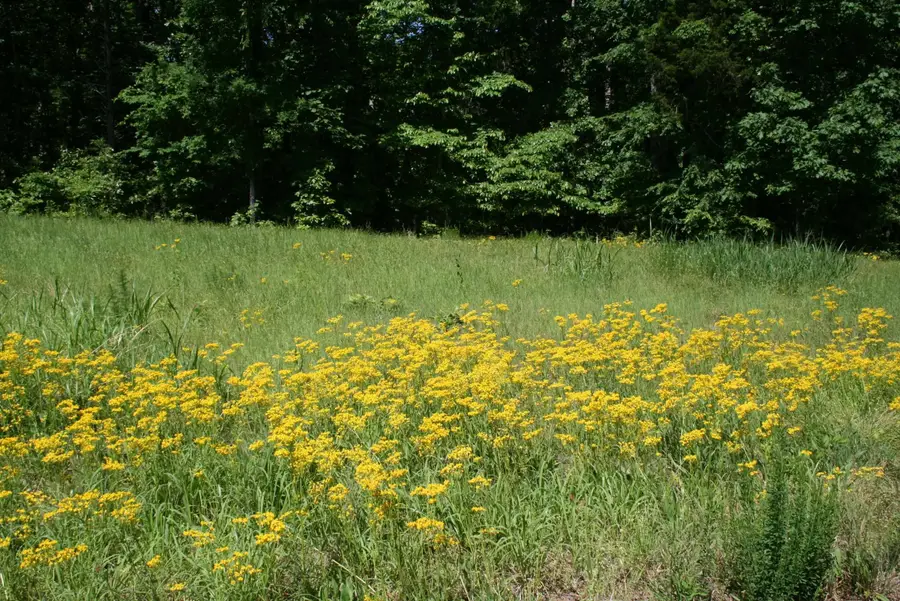 000 Brodies Landing, Parsons, TN 38363 - Image #2