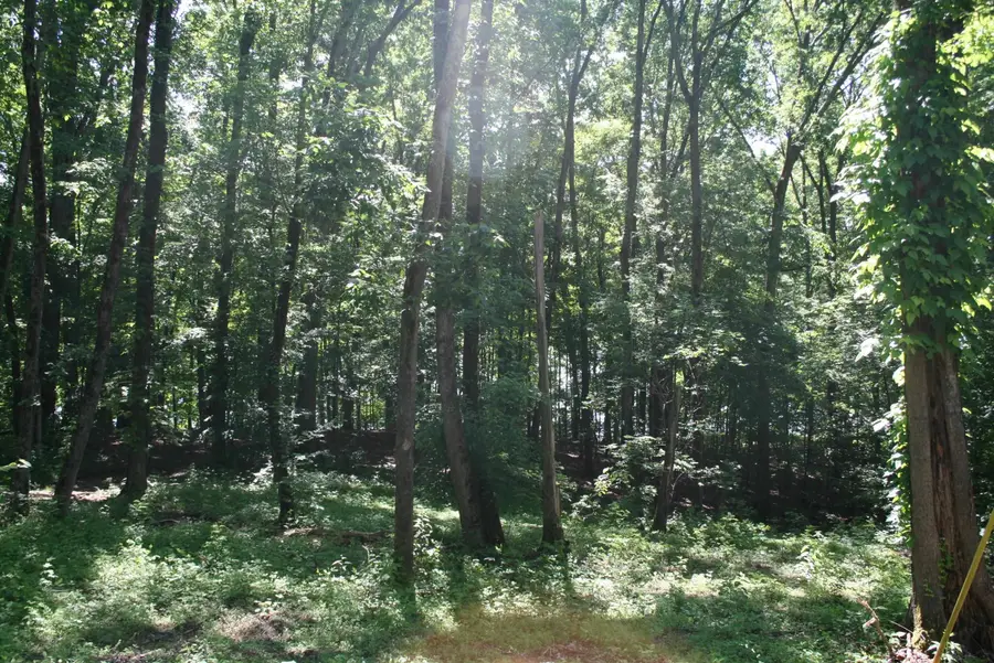 000 Brodies Landing, Parsons, TN 38363 - Image #3