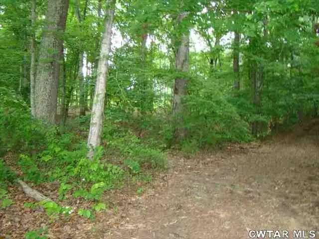 00 Brodies Landing, Parsons, TN 38363 - Image #3