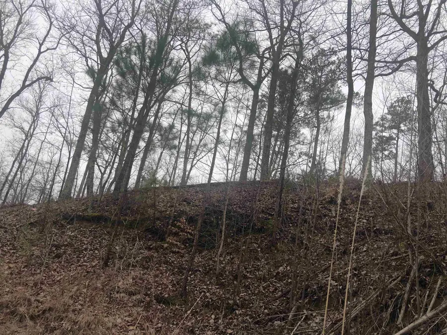 00 Breeze Pt, Savannah, TN 38372 - Image #3