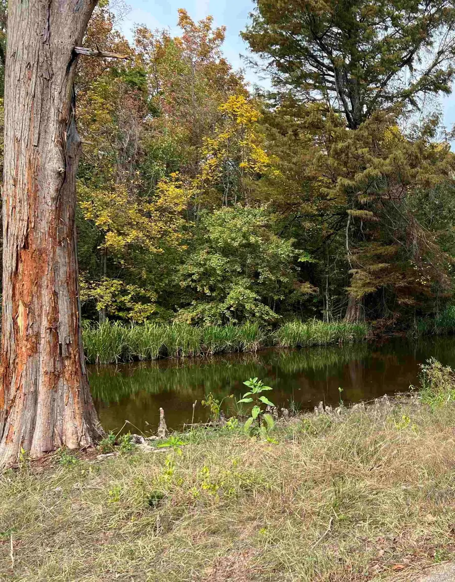 0 Walnut Log Lane, Union City, TN 38261 - Image #2