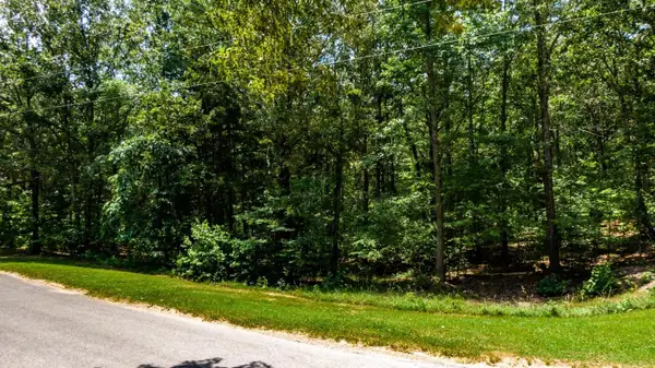 334 Logger Lane, Cedar Grove, TN 38321