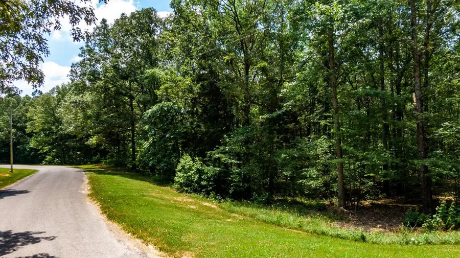 334 Logger Lane, Cedar Grove, TN 38321 - Image #2