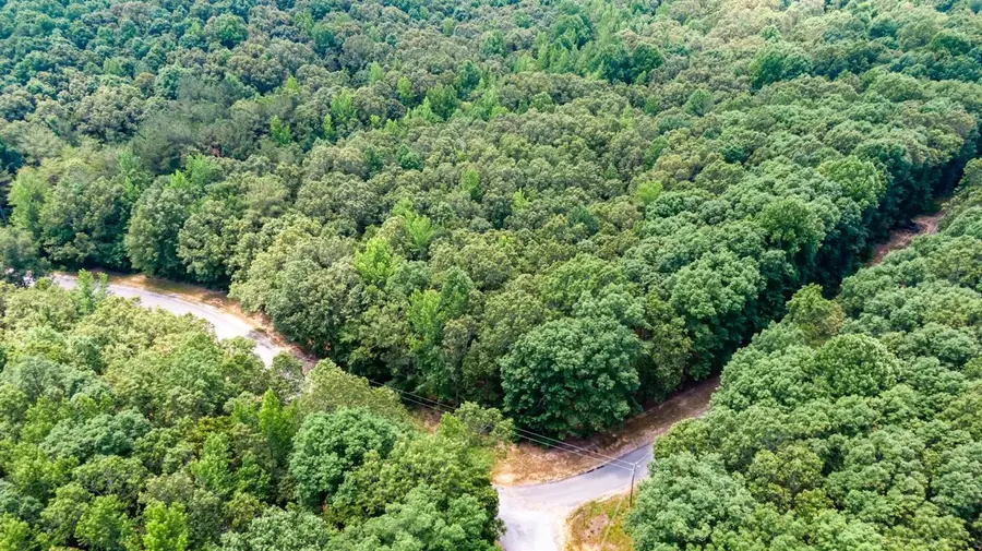 334 Logger Lane, Cedar Grove, TN 38321 - Image #3