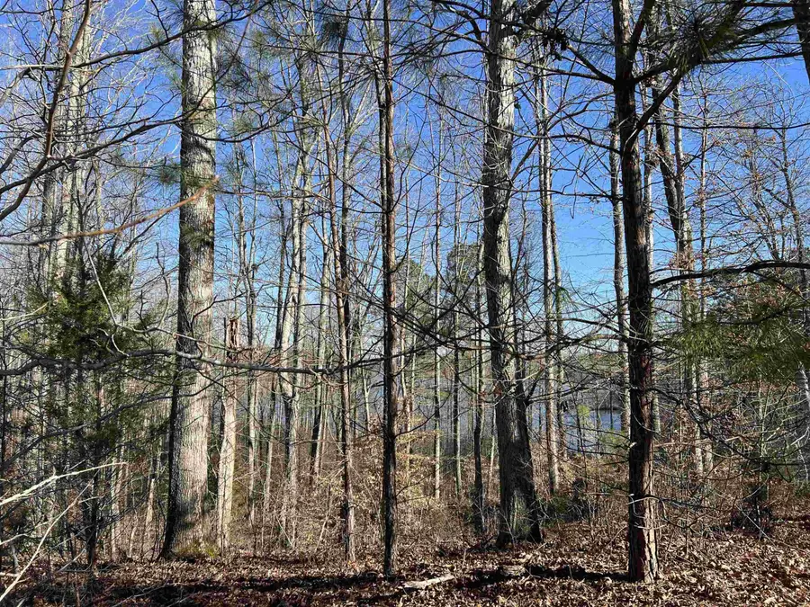 0 Excalibur Trail (lot 237), Cedar Grove, TN 38321 - Image #2