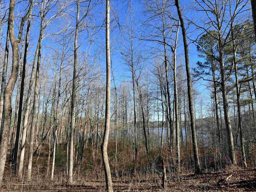 0 Excalibur Trail (lot 237), Cedar Grove, TN 38321 - Image #3