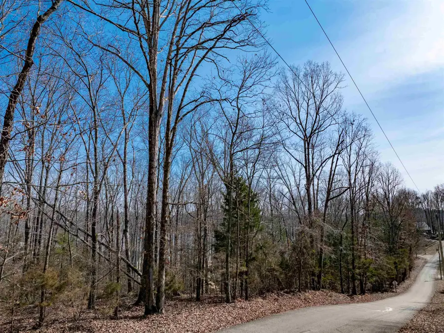 Lot 402 Fawn Ridge Road, Parsons, TN 38363 - Image #2