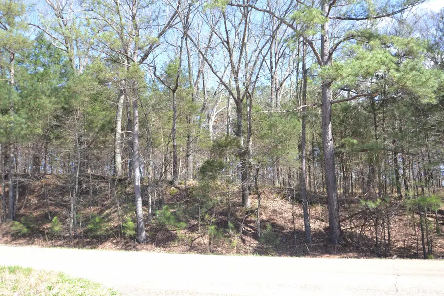 00 Hwy 70 E, Jackson, TN 38305 - Image #2