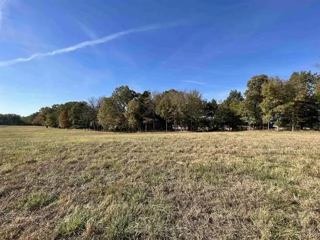 0 +-6 Acres Gadsden Todd Levee Road, Humboldt, TN 38343 - Image #2