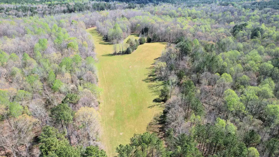 000 Stewart Cementery Lane, Enville, TN 38332 - Image #2