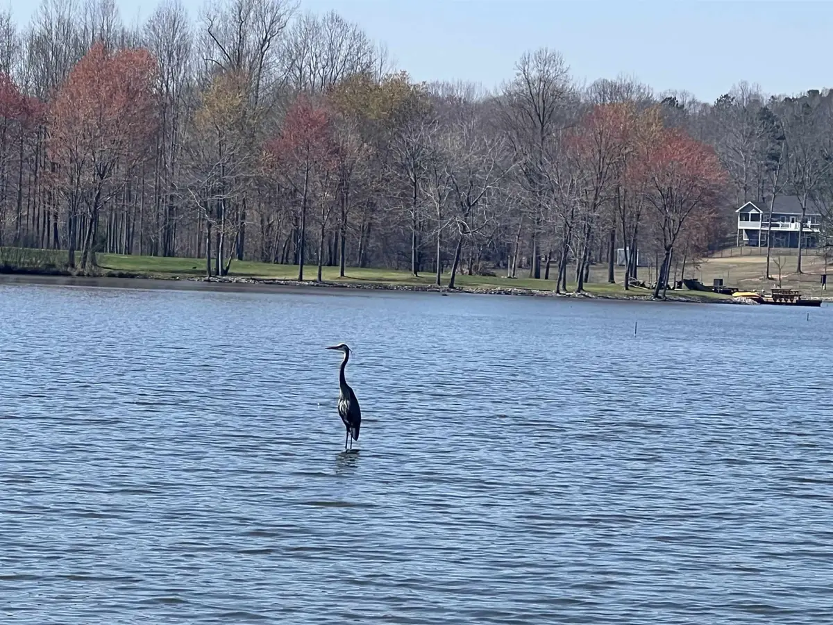 950 Excalibur Trail (lot 100), Cedar Grove, TN 38321 - Image #1