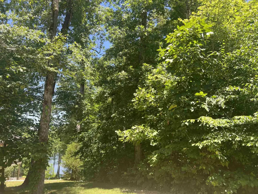 0 Excalibur Trail (lot 239), Cedar Grove, TN 38321 - Image #2