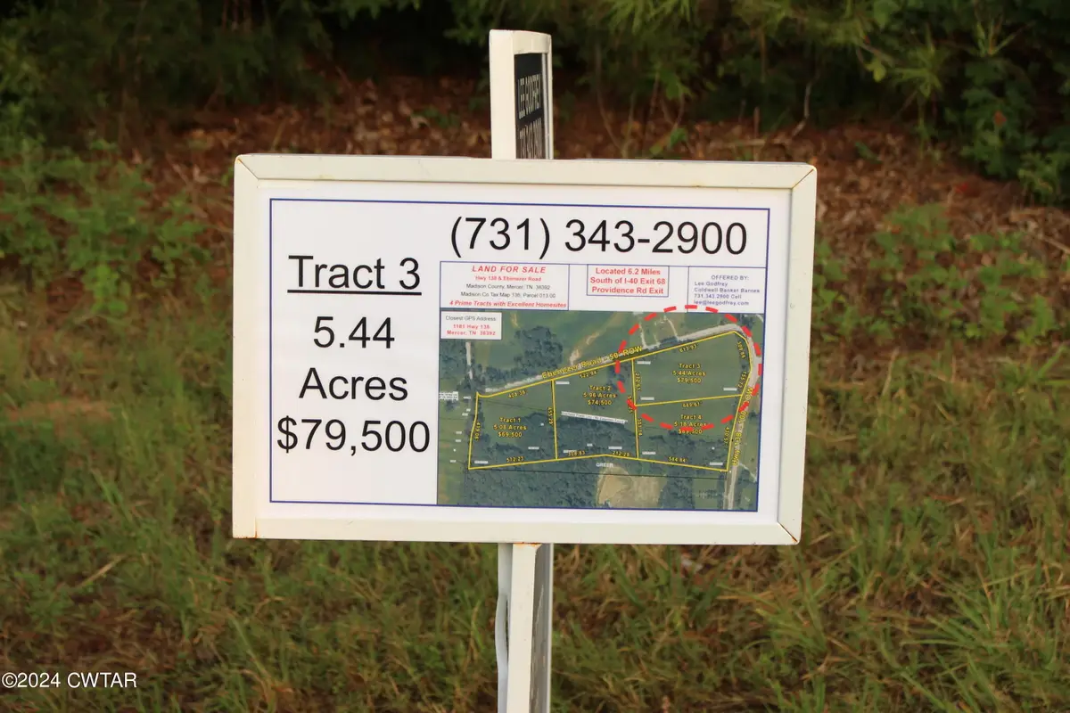 Tract 3, 138 Highway, Mercer, TN 38392 - Image #1