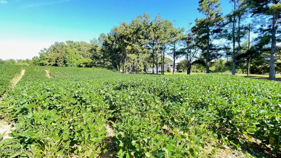 0 Country Club Road, Brownsville, TN 38012 - Image #2