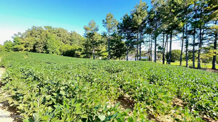 0 Country Club Road, Brownsville, TN 38012 - Image #3