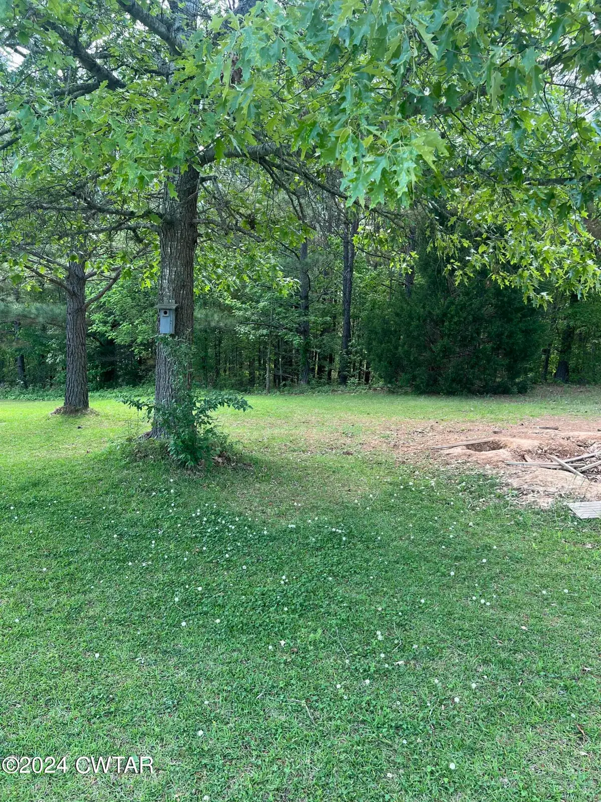 115 Calvin Drive, Jackson, TN 38301 - Image #1