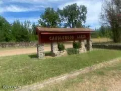 LOT 504 Candlewood Dr Drive, Saulsbury, TN 38067 - Image #2