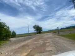 LOT 504 Candlewood Dr Drive, Saulsbury, TN 38067 - Image #3