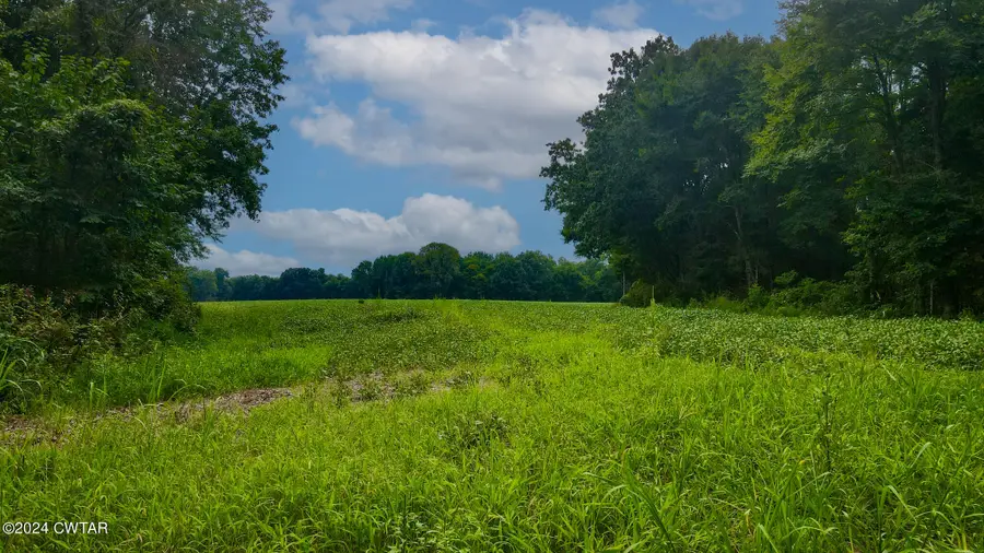 0 Bobbitt Road, Medina, TN 38355 - Image #2