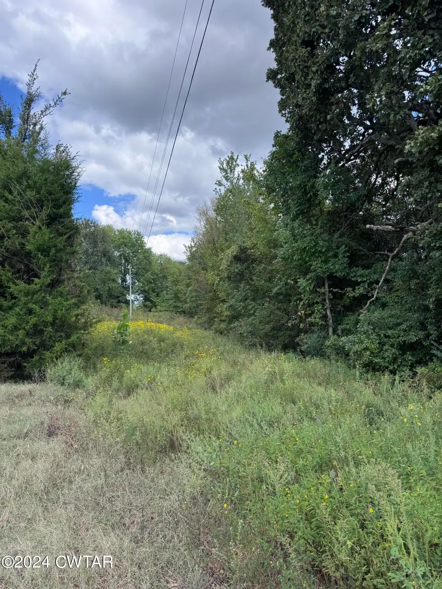 888 Charlie Lewis Road, Trenton, TN 38382 - Image #3