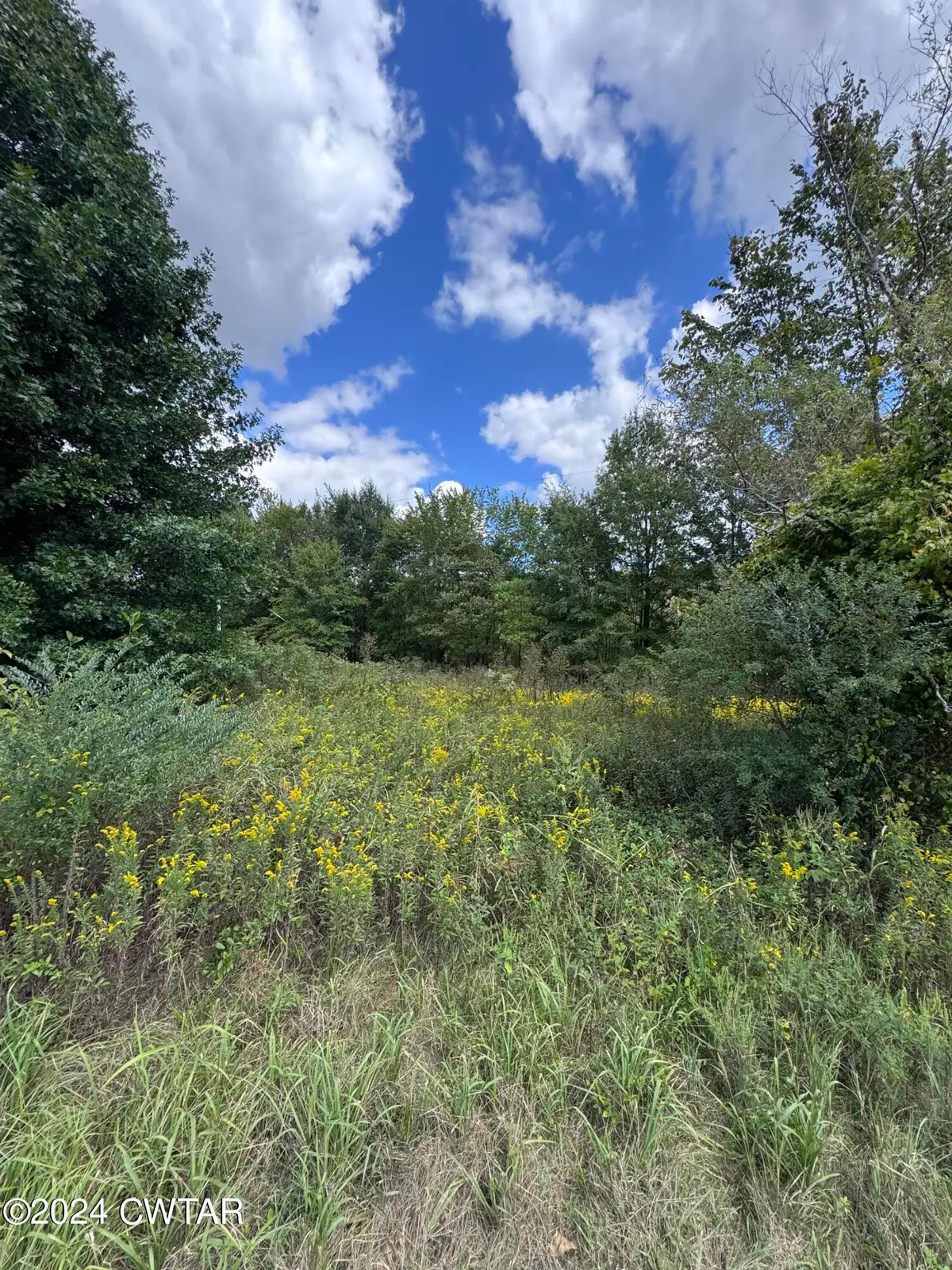 555 Charlie Lewis Road, Trenton, TN 38382 - Image #1